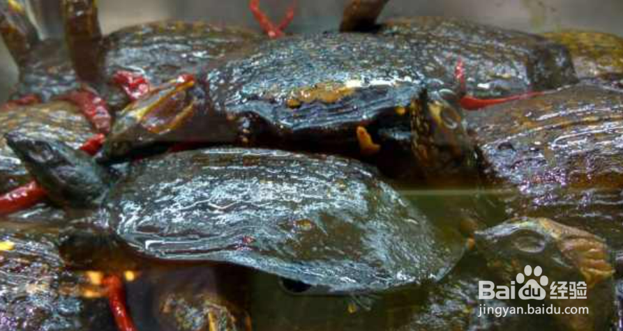 麻辣小甲鱼的秘制配方