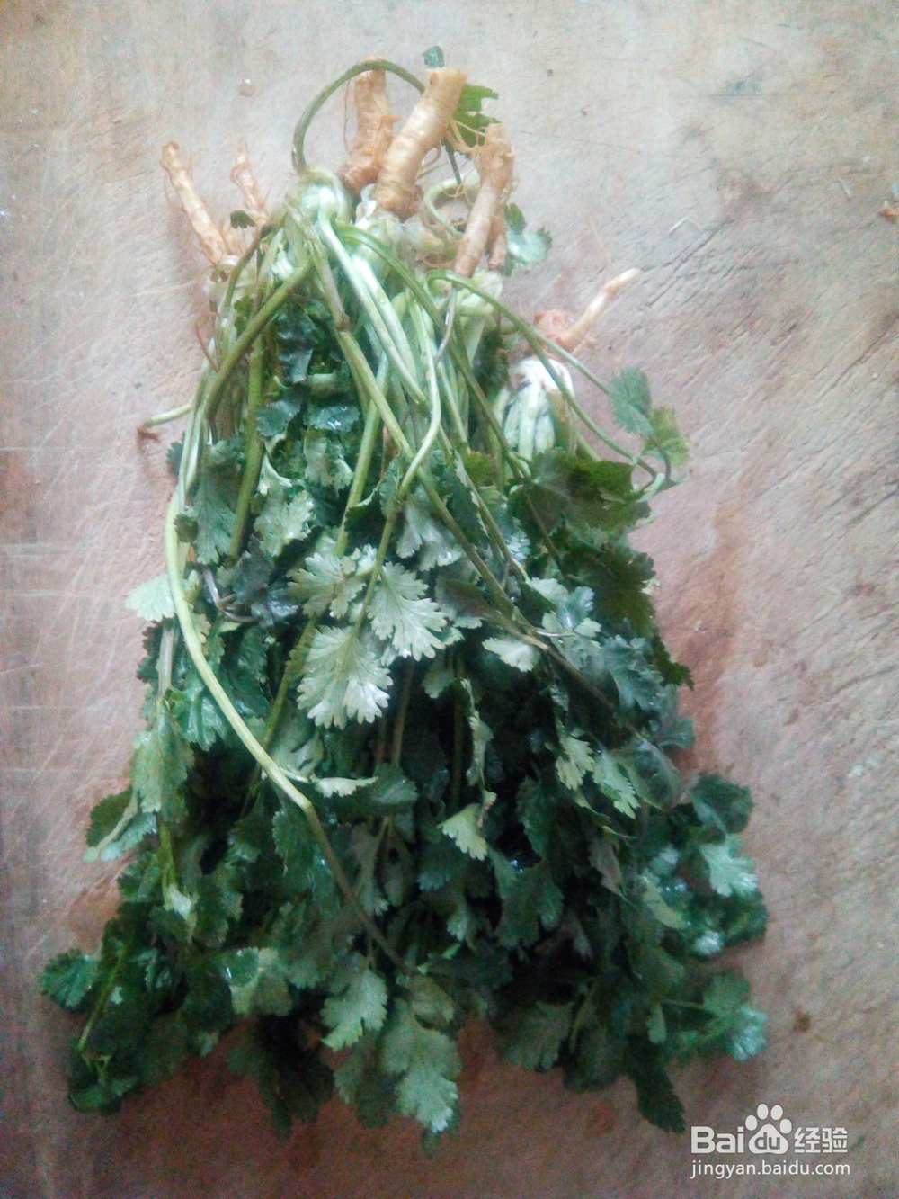 易学的香菜炒鸡蛋