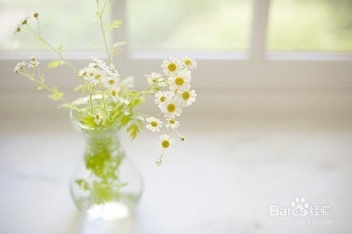 治疗湿疹的中药哪个效果好