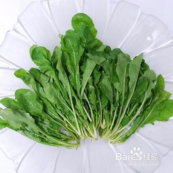 吃荠菜对眼睛好吗?