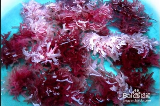 石花菜的营养价值和功效