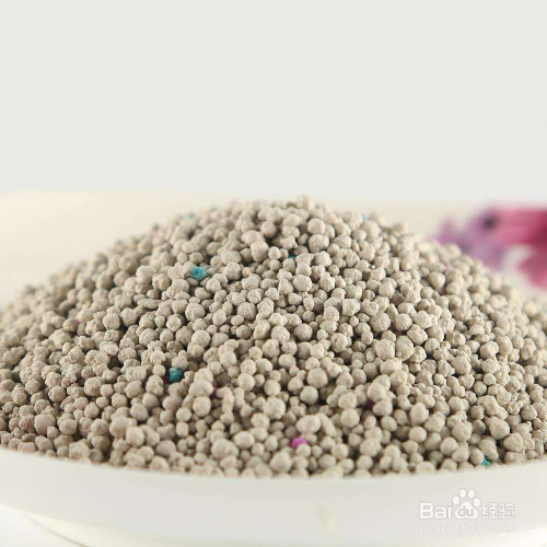 给宠物猫使用猫砂前需要做哪些准备?