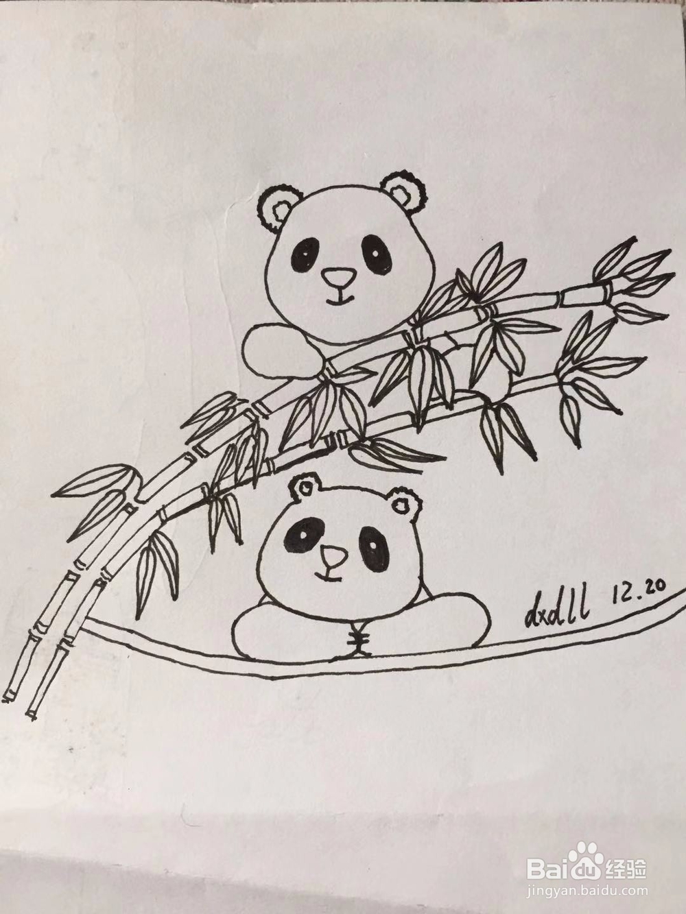 大熊猫吃竹子图片素描图片