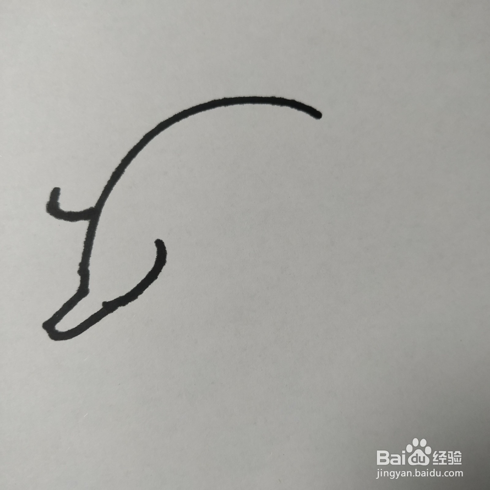 怎么画野猪的儿童画?野猪的儿童画怎么画呢?