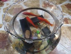 炭猫带您了解竹炭在日常生活中的应用