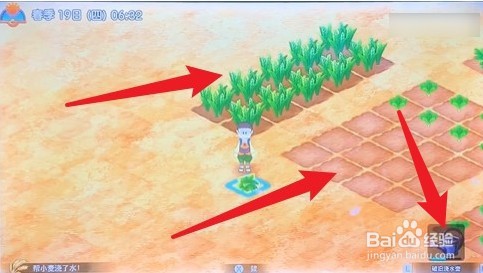 switch大雄的牧场物语攻略