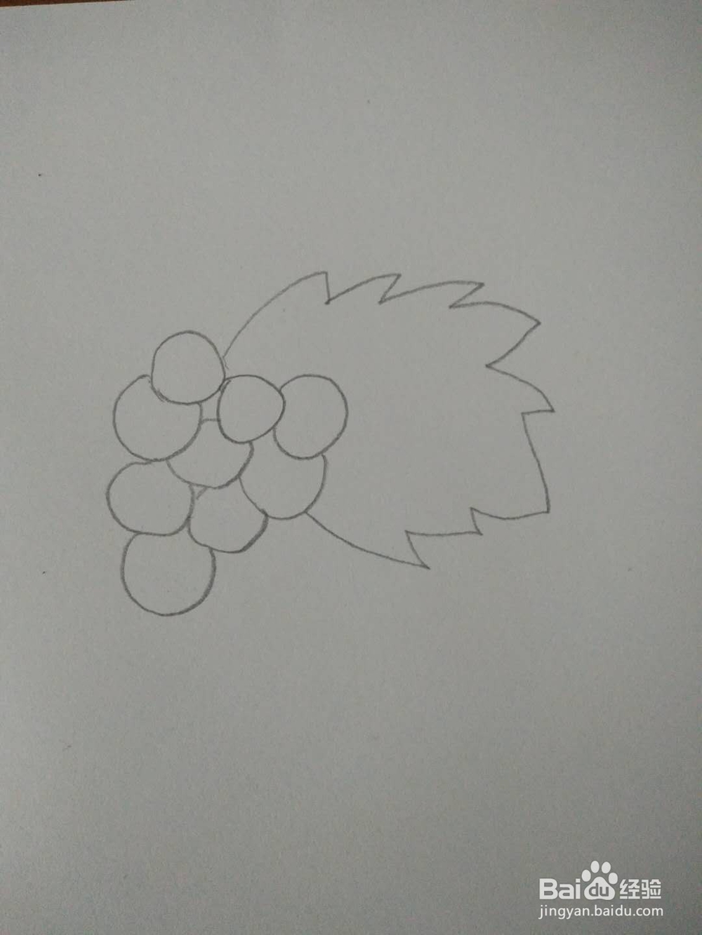 如何画葡萄的简笔画
