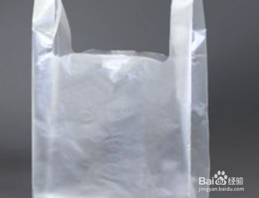 自家室内用这种方法栽培香菜