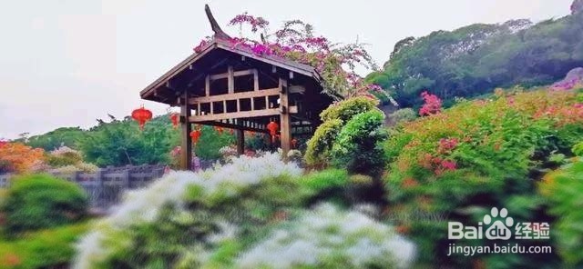厦门梅海岭景区