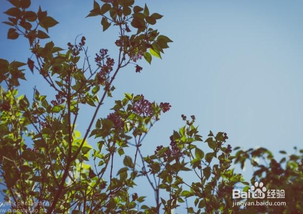 8个月大鼻塞怎么办