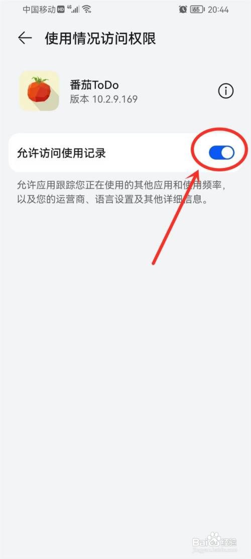 番茄ToDoAPP如何打开使用访问权限？