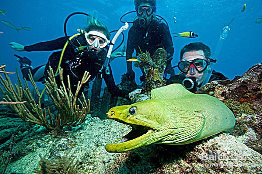 潜水时如何判断水流大小的方法