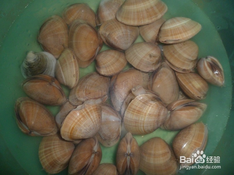 海鲜 肉酱爆花蚬