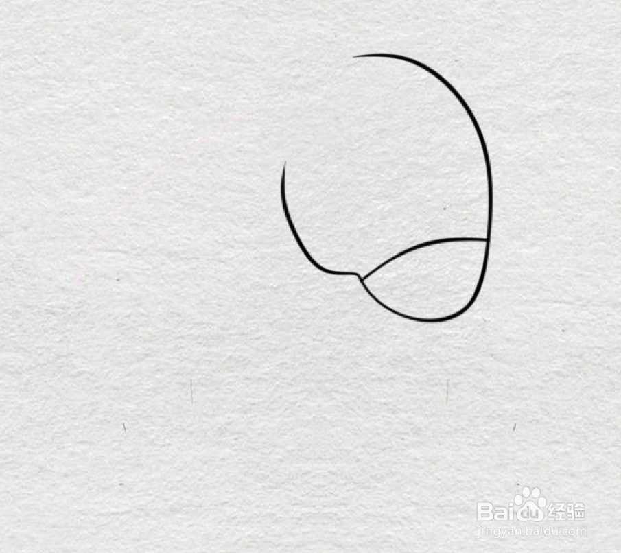 简笔画--卡通版斑马的画法