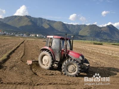 如何防止红薯开裂