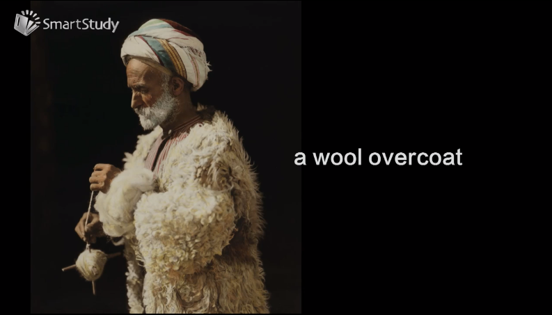 wool是什么意思