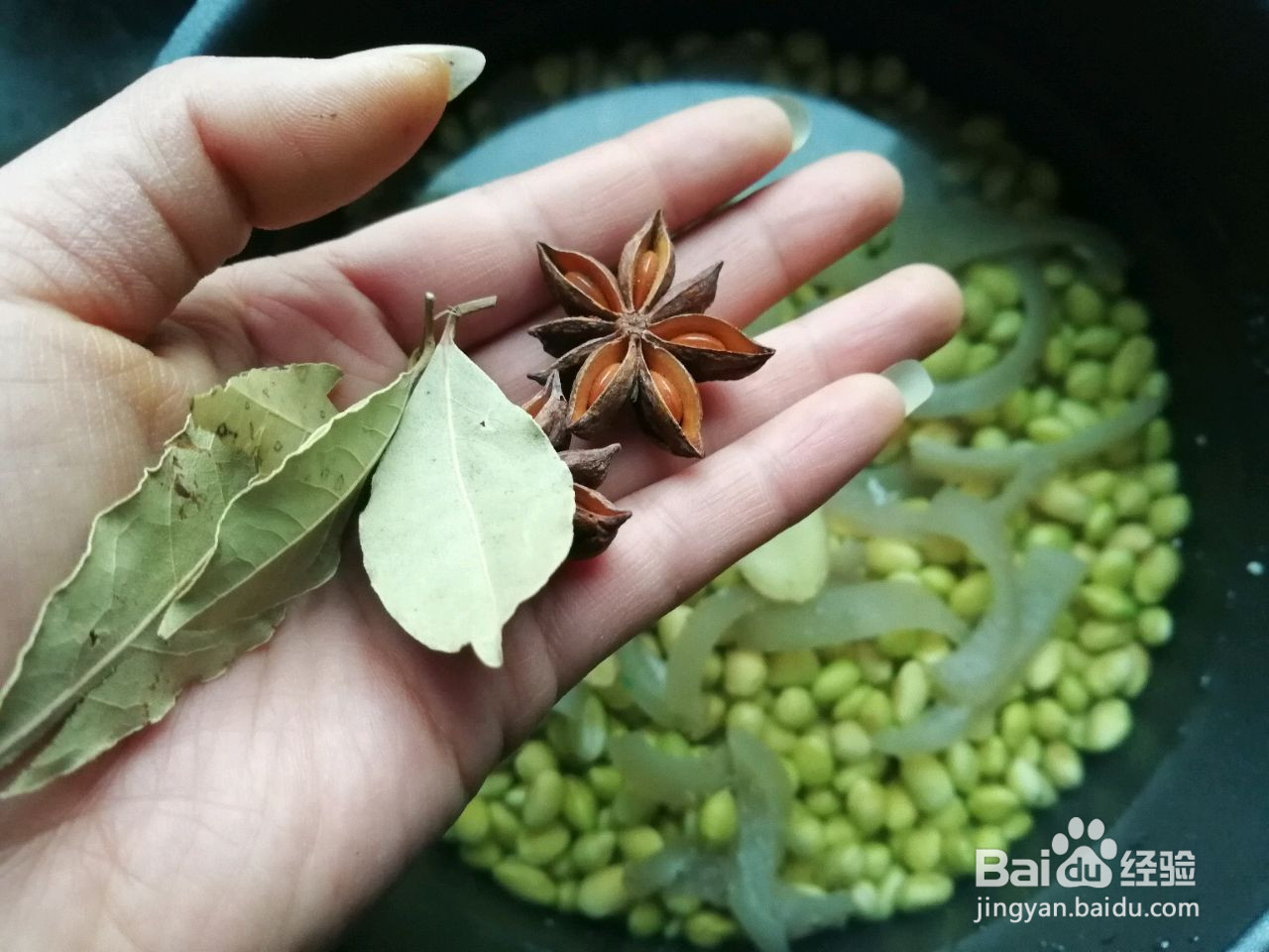 黄豆肉皮冻的做法