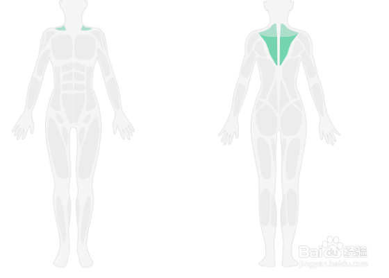 3D肩部轰炸训练