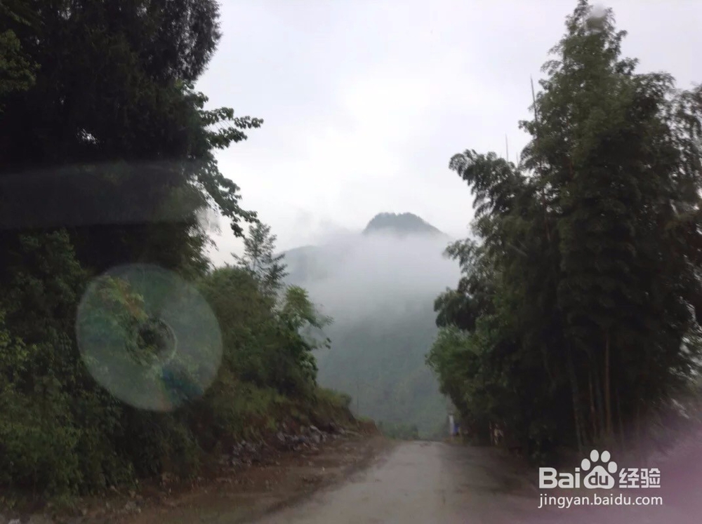 漂洋过海来看你