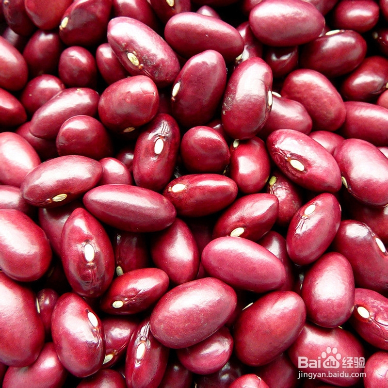 秋天到了,豆西米露为你避一避秋老虎的卯猖狂