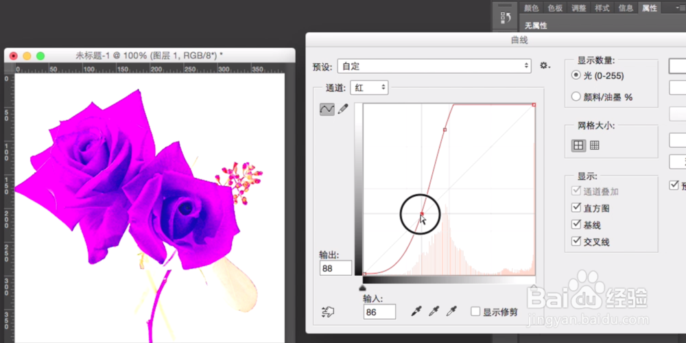ps图片的裁切与校色