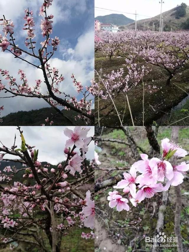 义乌上溪旅游攻略