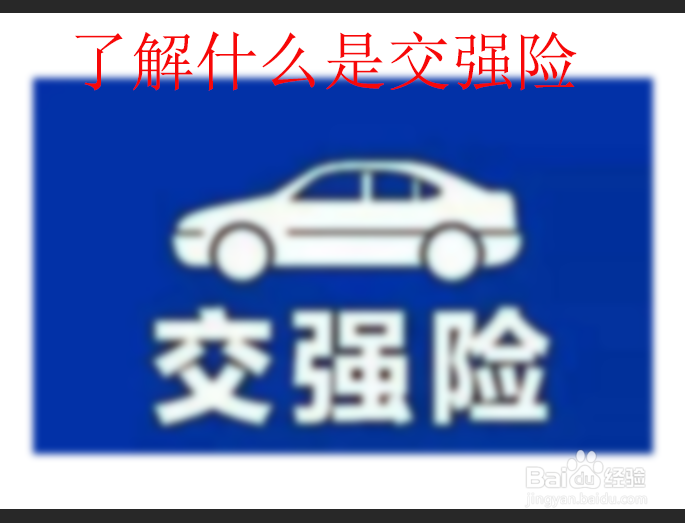如何出交强险