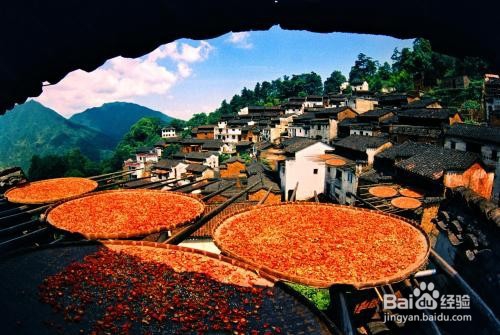 北京到婺源旅游攻略