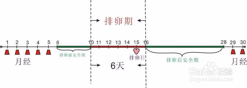 怀孕时间表的第几周是从什么时候开始计算的？