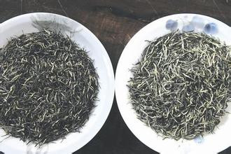 如何才能买到好的茶叶