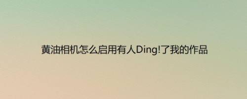 黄油相机怎么启用有人Ding!了我的作品