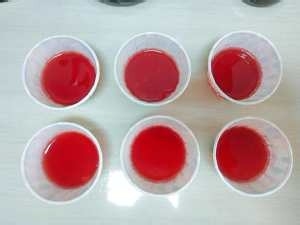 西瓜奶冻的做法