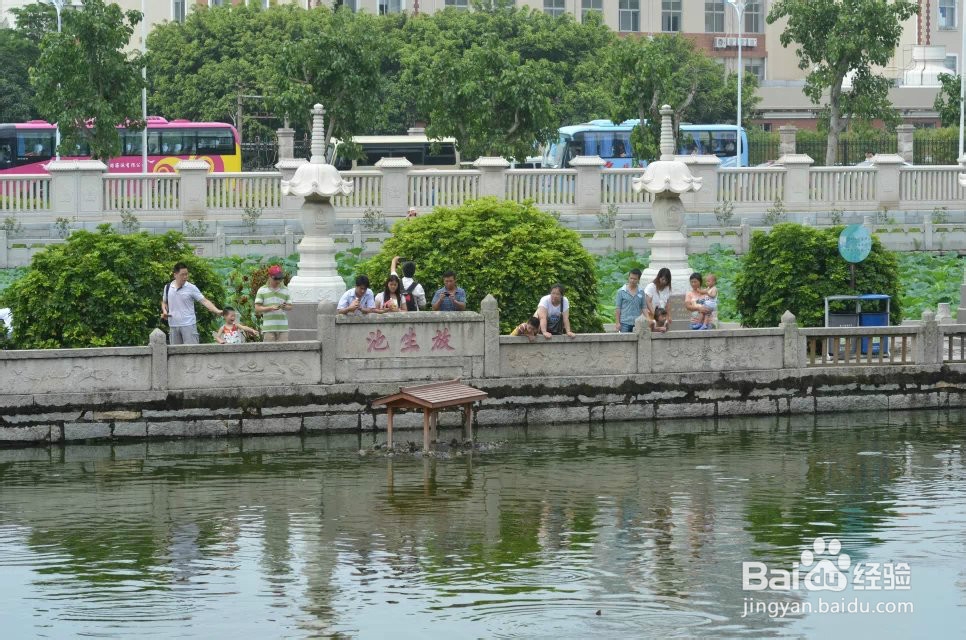 我的溜溜海南-：[8]厦门旅游攻略