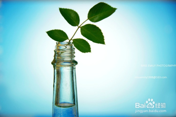 除去各种臭味，使空气变得更清新