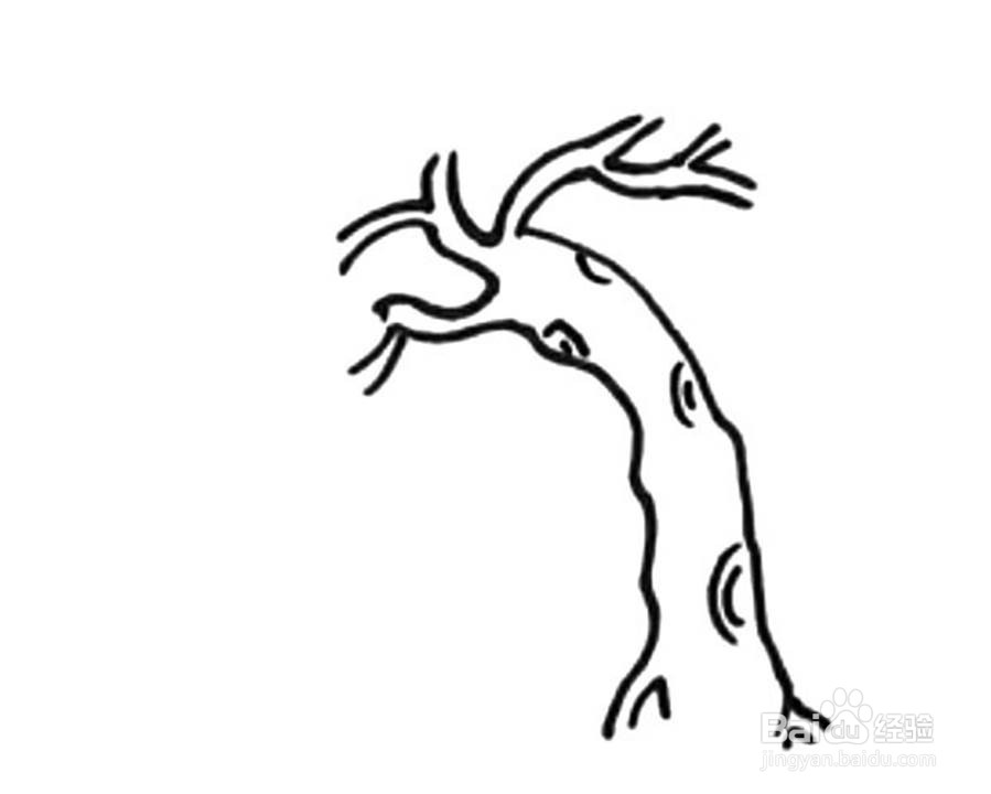杨柳树的儿童卡通简笔画教程