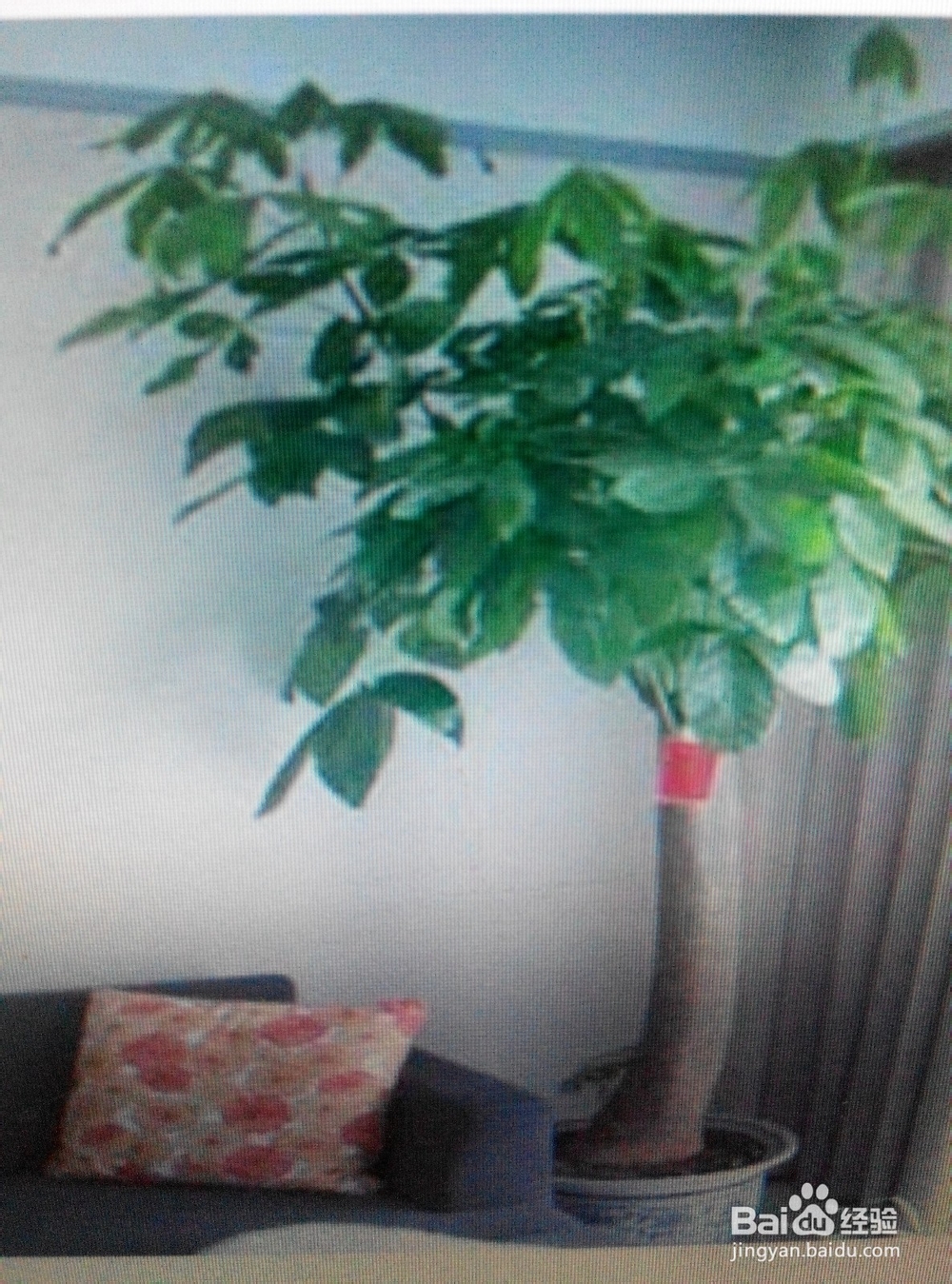 大家如何防止雾霾