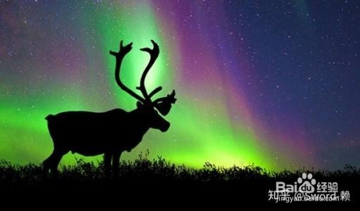 俄罗斯看极光攻略