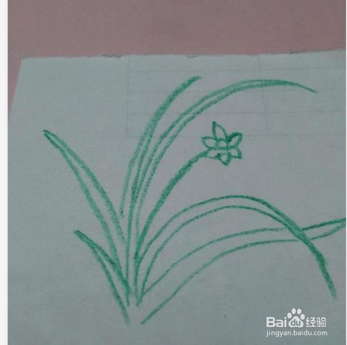 简笔画一朵兰花