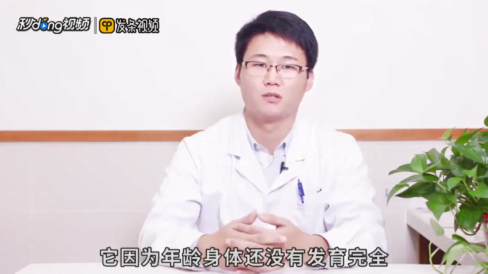 第一窝狗不能留这种说法对吗