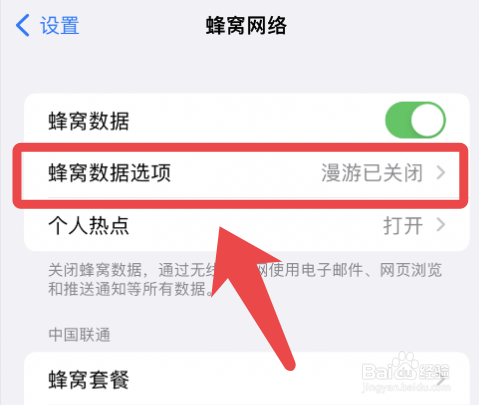 苹果手机在俄罗斯还能正常使用吗