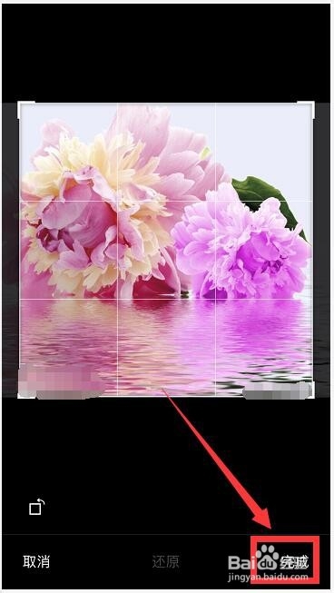 微信头像改不了怎么办