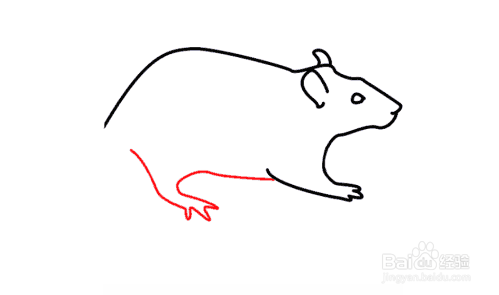 如何画一只老鼠