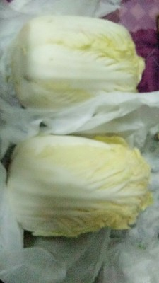 人的长寿秘诀是什么吗?日常吃什么可以养生长寿?