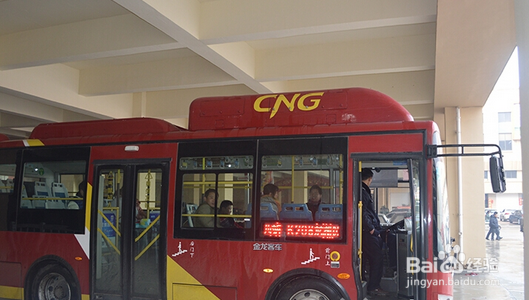 怎么去滕州红河湿地