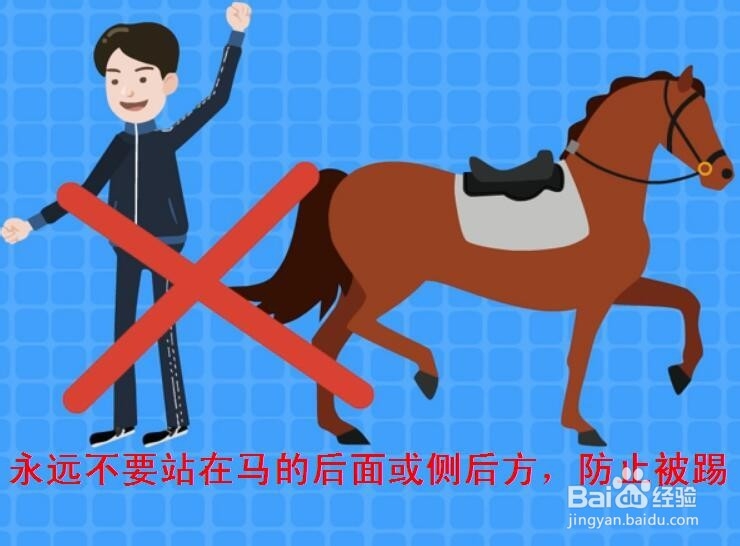 骑马须谨记哪些注意事项