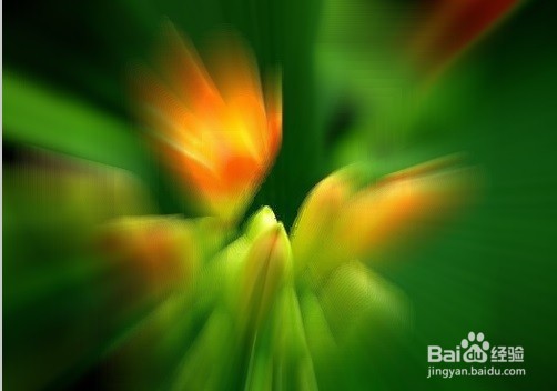 FW怎么制作出图片的缩放模糊效果