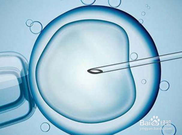 哪些因素影响试管婴儿的费用