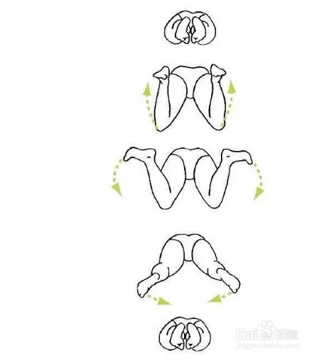 如何学习蛙泳？
