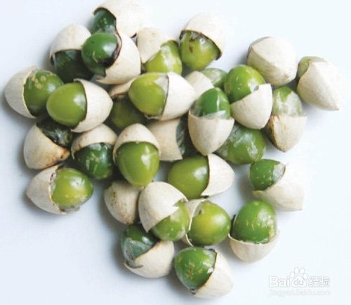 如何美白皮肤小窍门五个中草药让肌肤润泽光滑