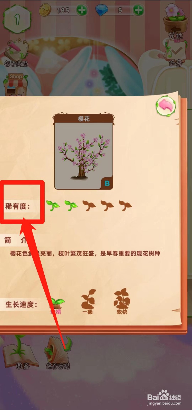 花花姑娘之魔法花园如何查看樱花稀有度